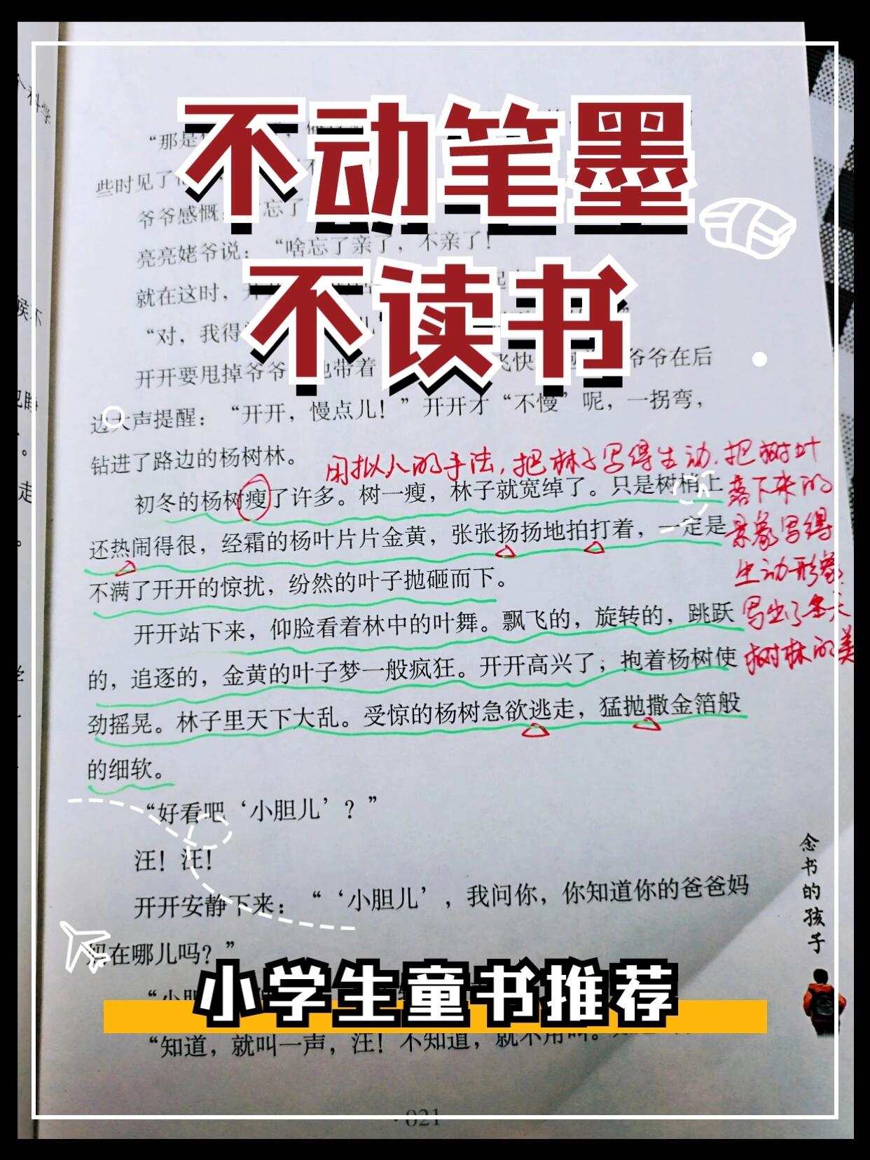 不动笔墨不读书,精读《念书的孩子》