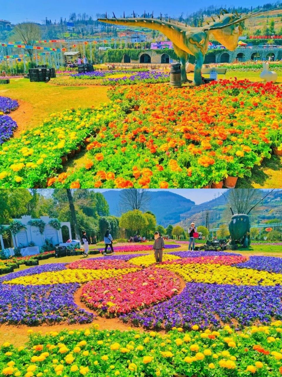 大河堡·凉都花海——六盘水的后花园 99如果你想要一个赏花休闲