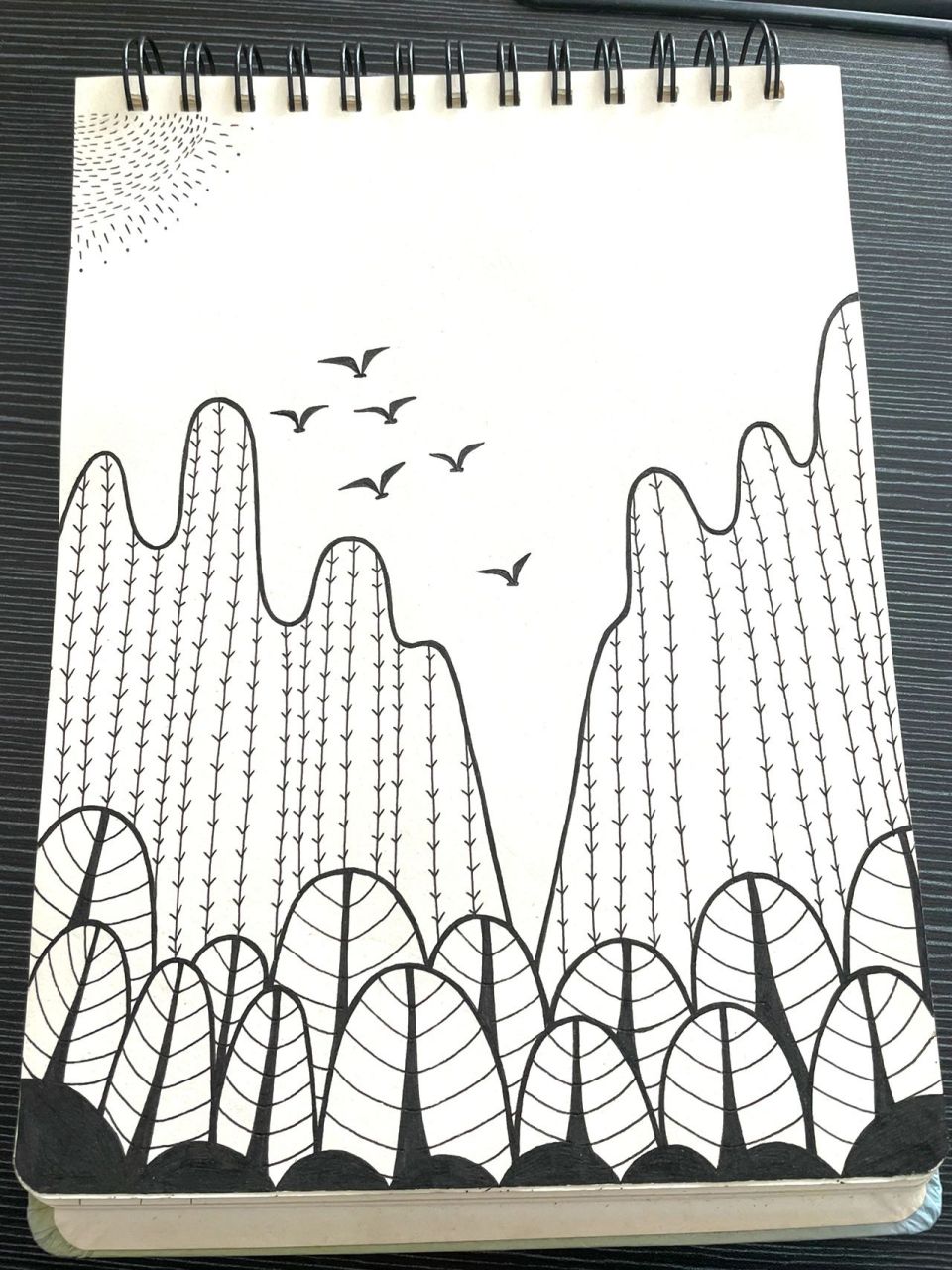 黑白画 超级简单 小白也能画 山水类 超级简单的一幅画 赶快行动起来