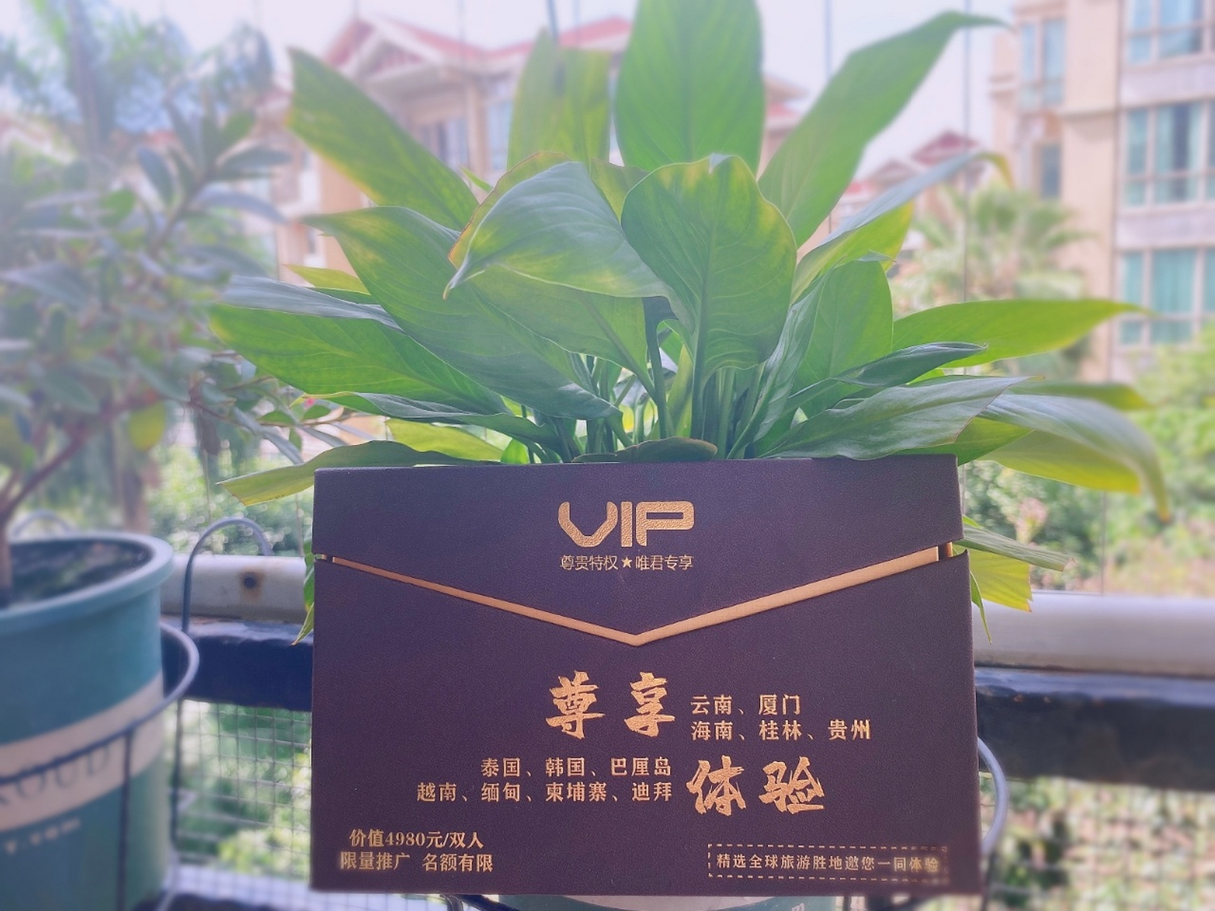 【红蚁旅游·会员价值】 红蚁旅游会员卡不仅超低成本价回馈老百姓