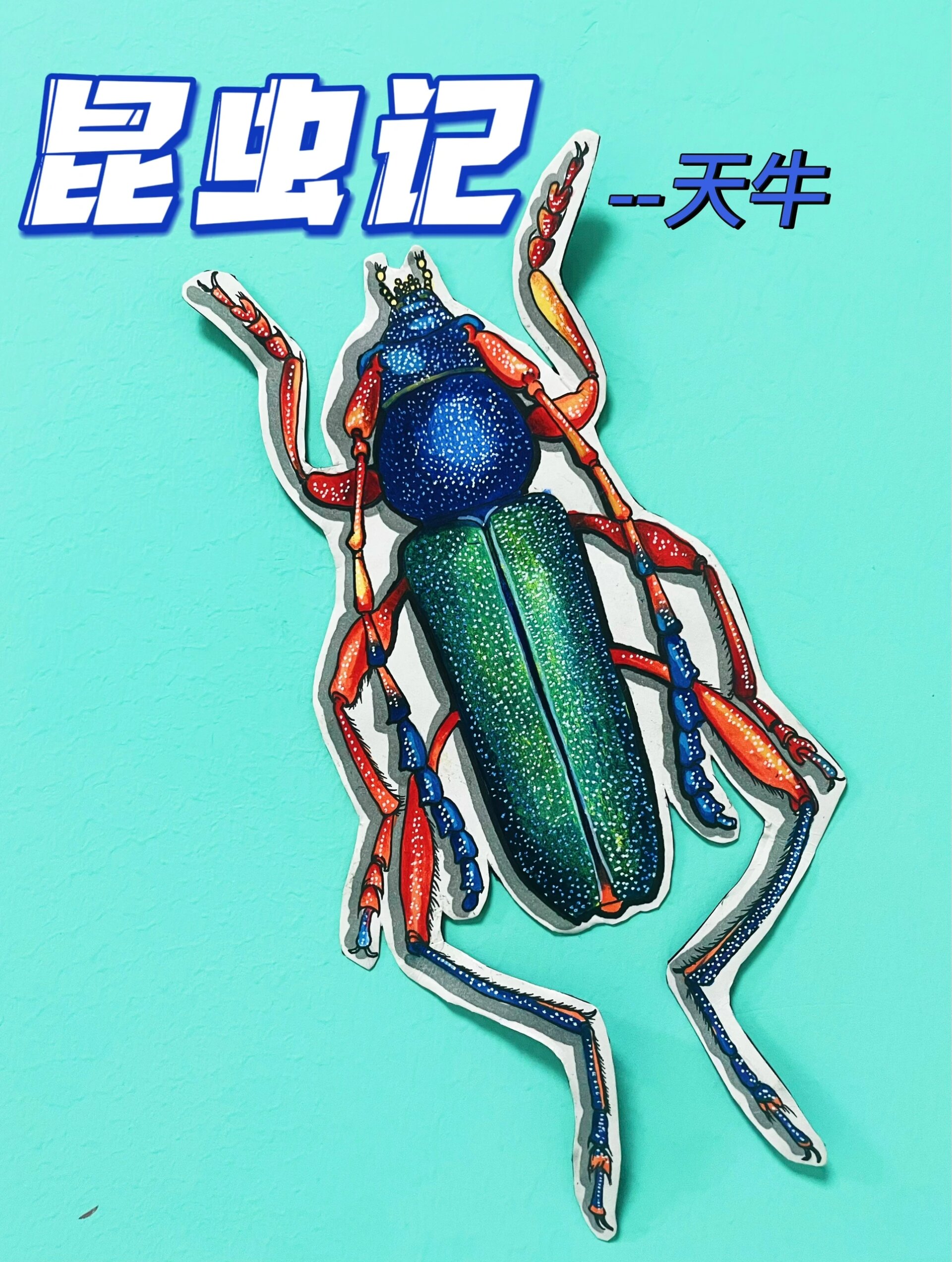 昆虫记-天牛 年龄:7-9岁 线描写实