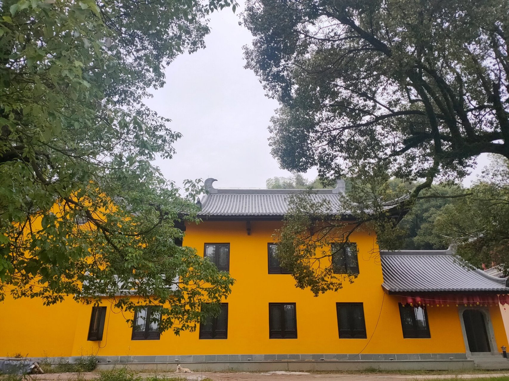 衢州大乘寺简介图片