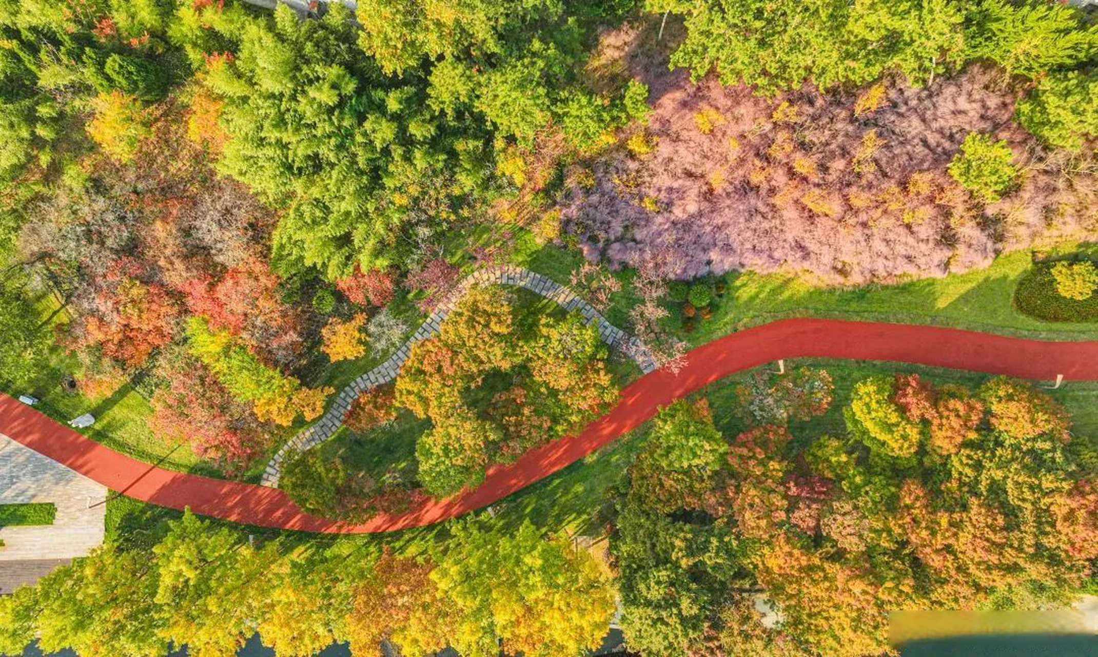 此时节,在阳光的映照下, 整个桑干河植物园色彩斑斓, 构成一幅明媚的