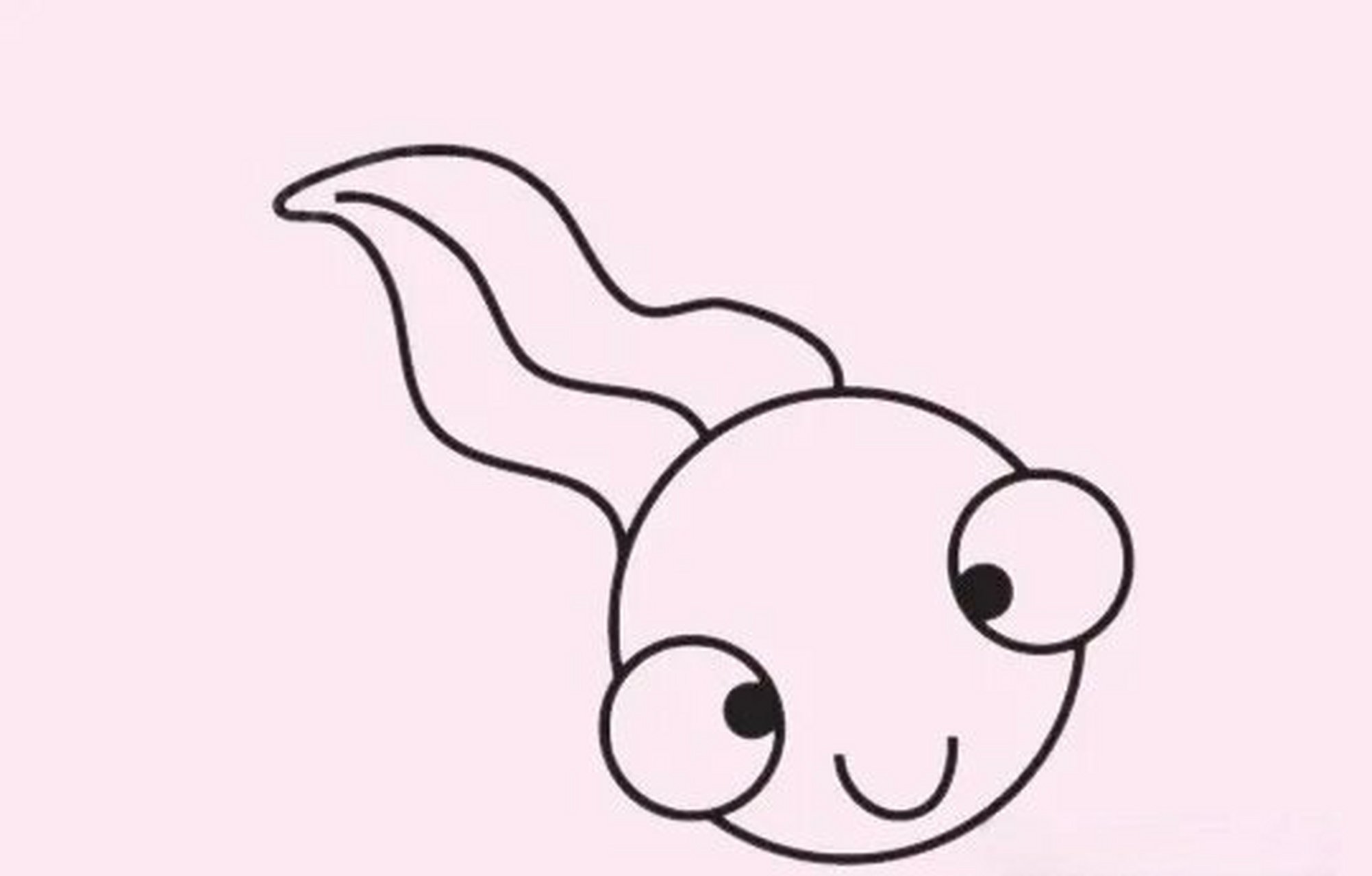 "那妈妈,小蝌蚪是怎