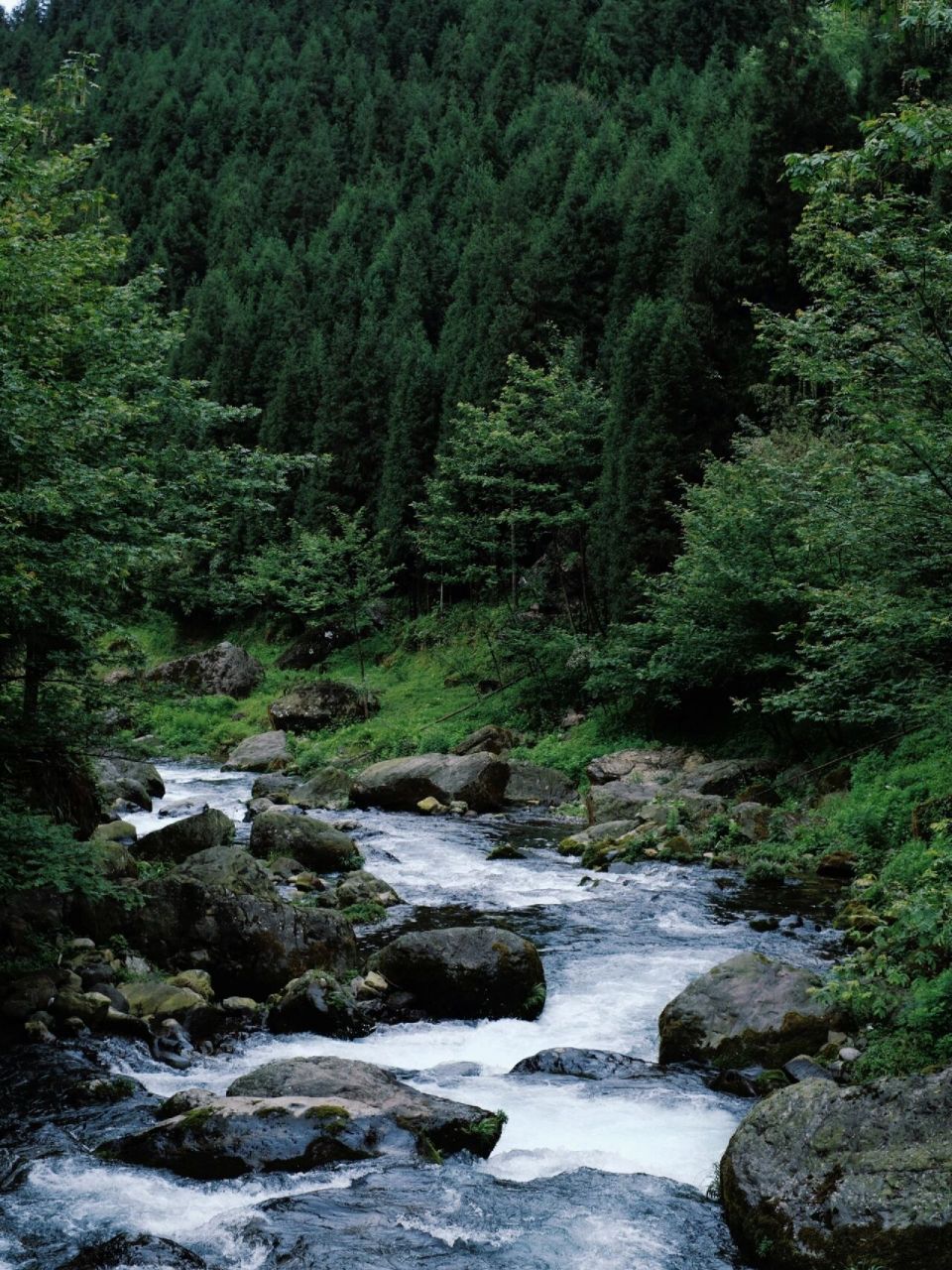 四川的那拉提 洪雅复兴村  可开车直达 适合露营 遛娃 徒步 91 就是