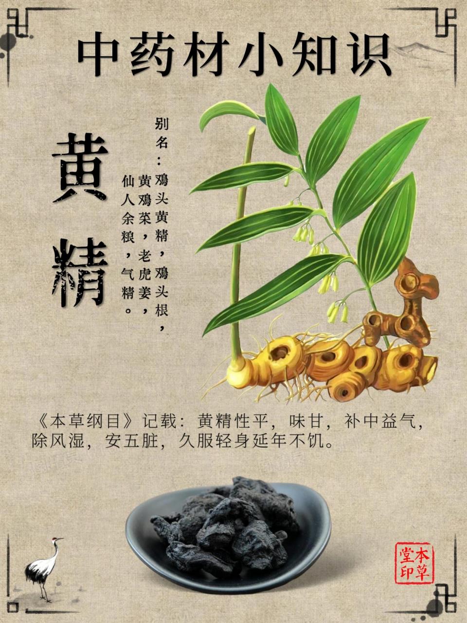 由于黄精具有一定的兴奋子宫平滑肌的作用,孕妇应禁止使用黄精或在