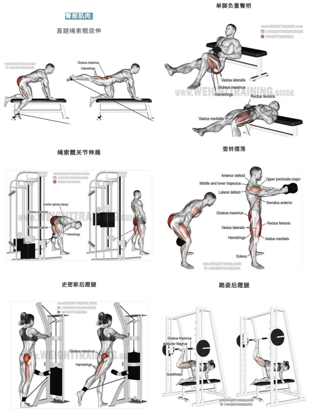 10个经典健身动作图片图片