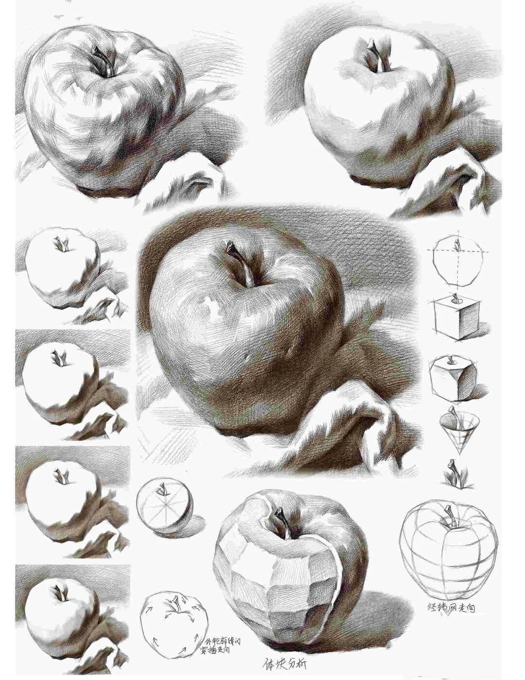 分享素描水果单体大合集步骤清晰艺考必备 素描静物单体单体训练是必