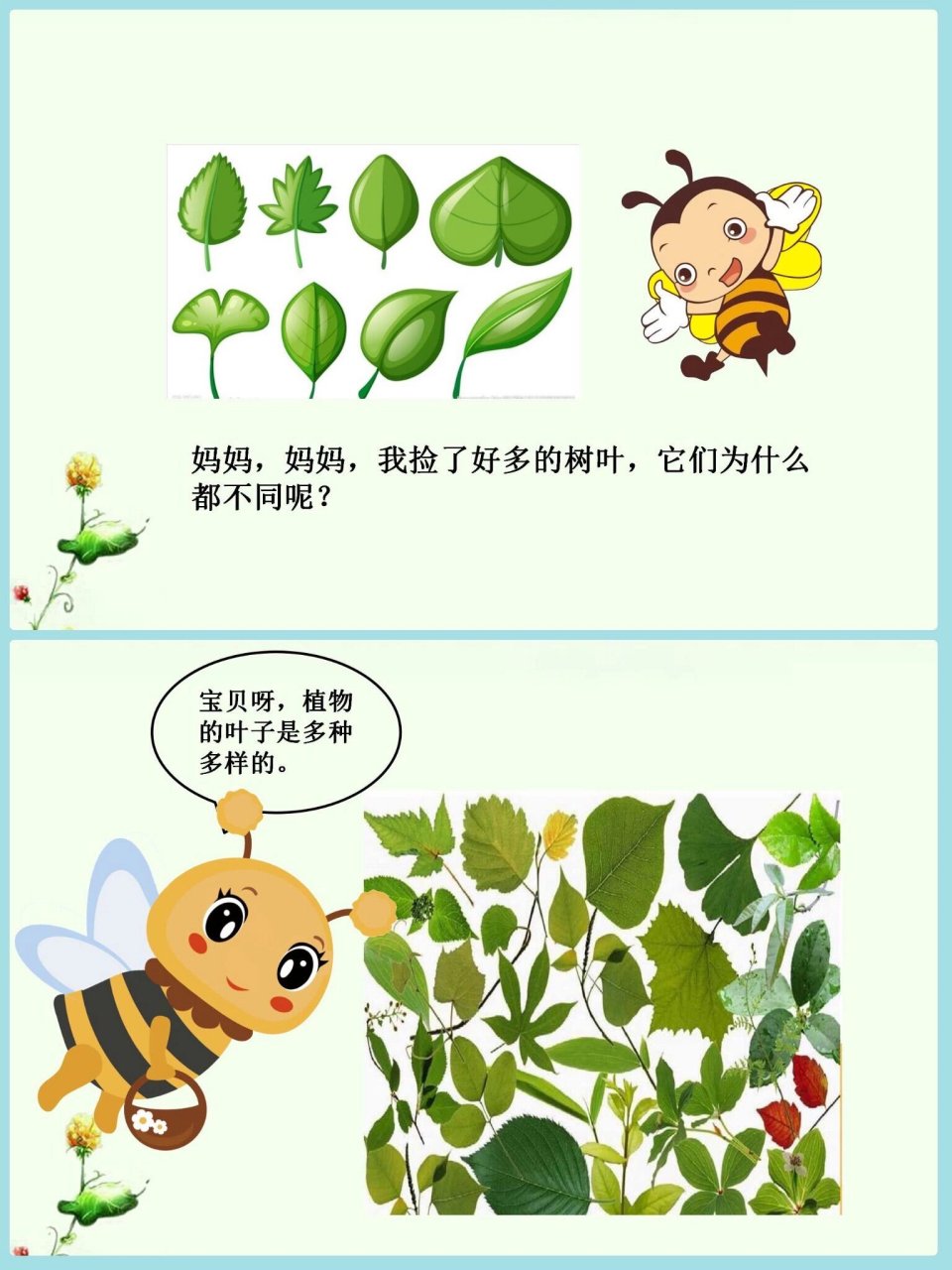 97幼师必备丨公开课《有趣的叶子》 分享一节幼儿园优质公开课《有