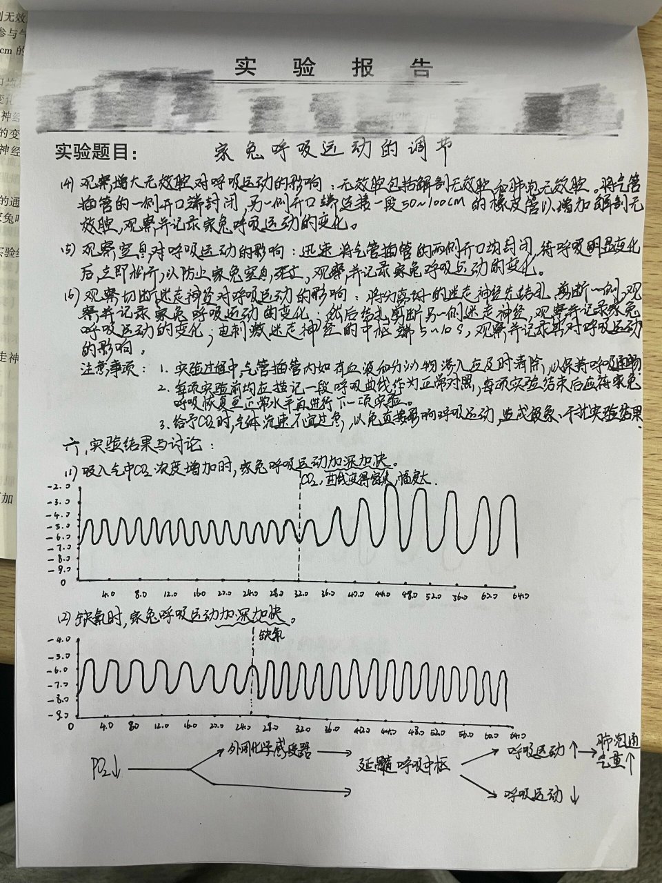 机能实验学《家兔呼吸运动的调节》实验报告 机能实验学《家兔呼吸