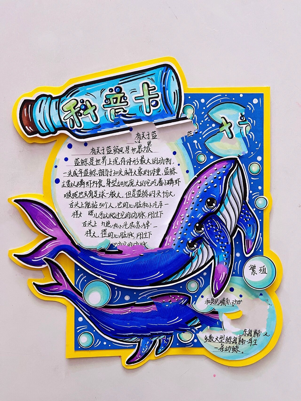 读书卡 科普卡 手工 手工卡片