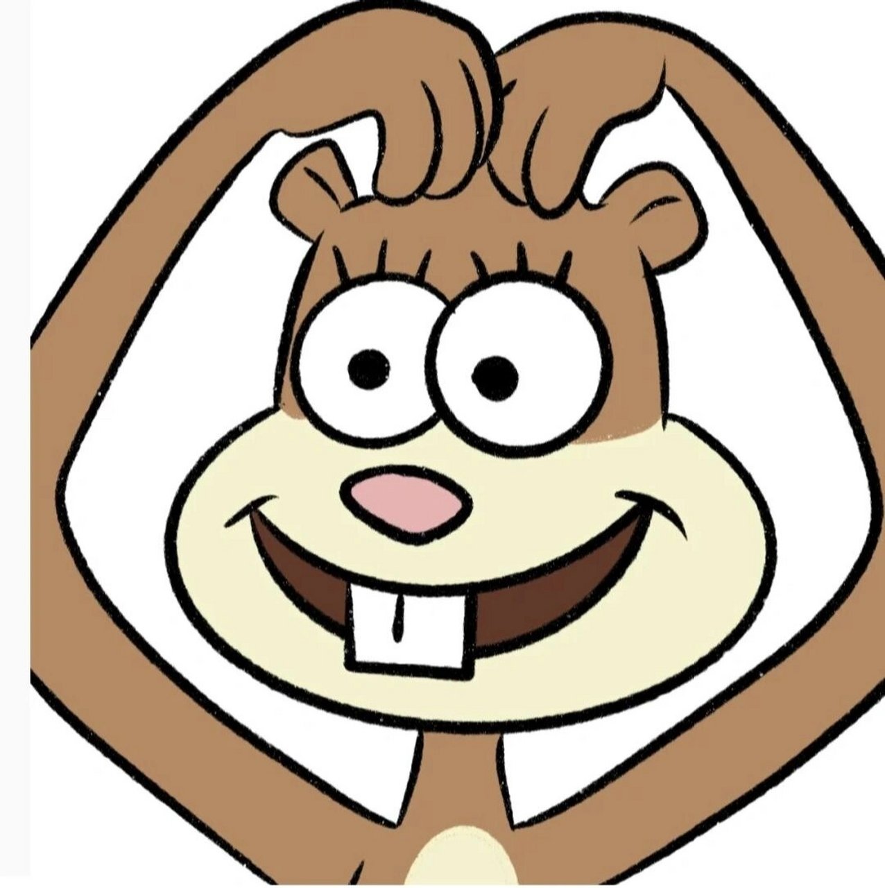 松鼠珊迪头像(1) 图源网络,知道原创的贝贝们艾特我