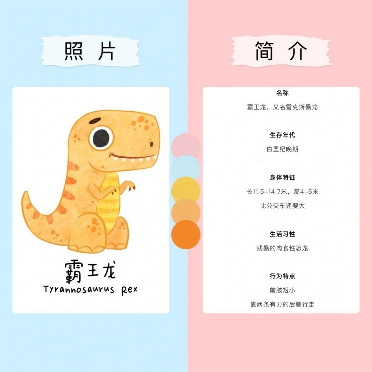 恐龙小百科 还可以打印出来做科普小卡片哦