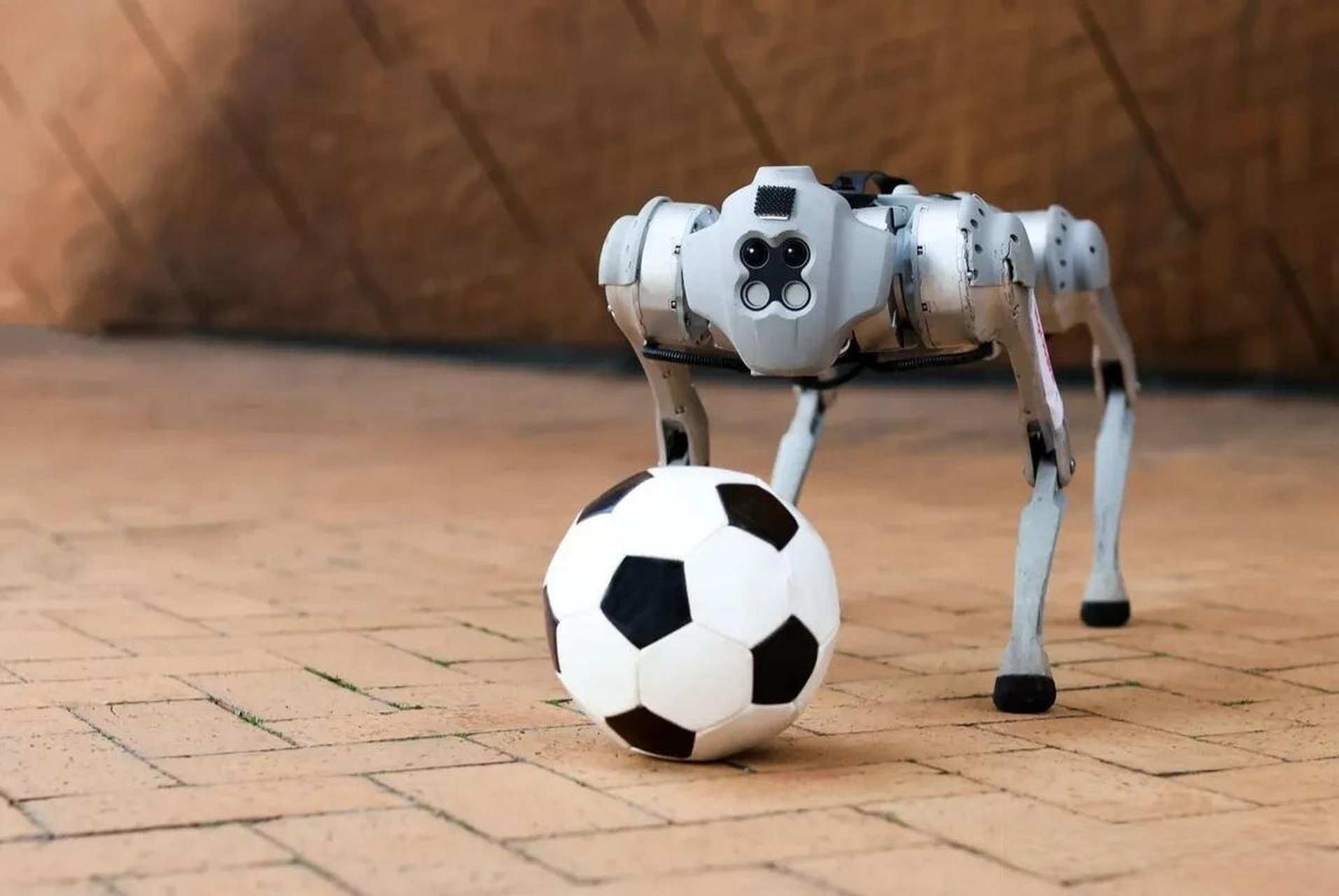 美国麻省理工学院 推出智能机器狗踢足球技能延伸至灾区救援实用性强