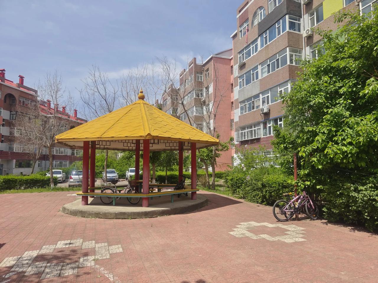 夏日,那是一个充满生机与活力的季节,阳光明媚