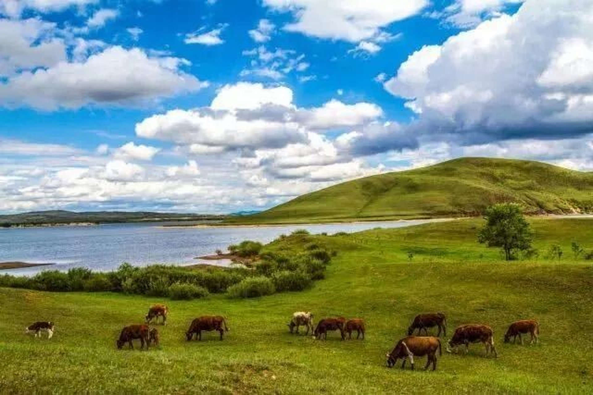 自驾北京,唐山最近的原始草原一起来玩呀 多伦蒙古语称为多伦淖尔,意