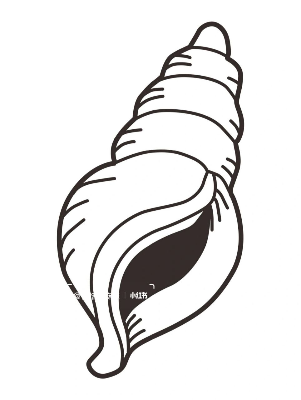 海底世界素材 | 海洋生物简笔画 各种可爱的海洋生物～你喜欢什么颜色