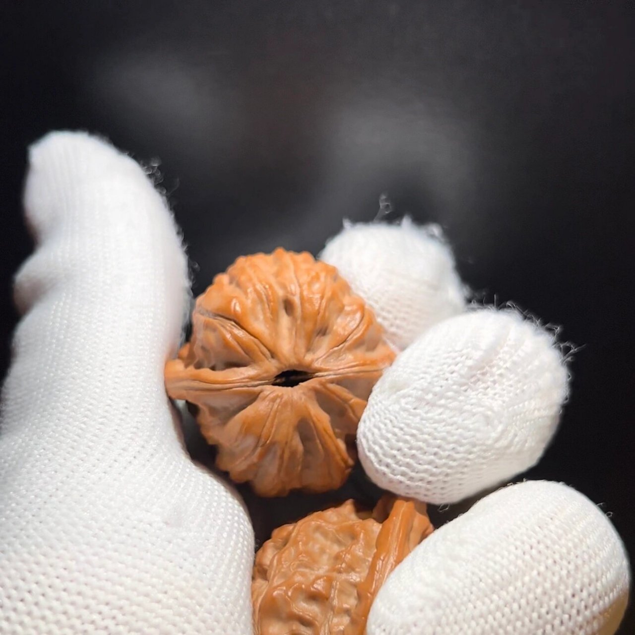 核桃科普93|赤龙94鸡心94 今天来说一说,赤龙鸡心.