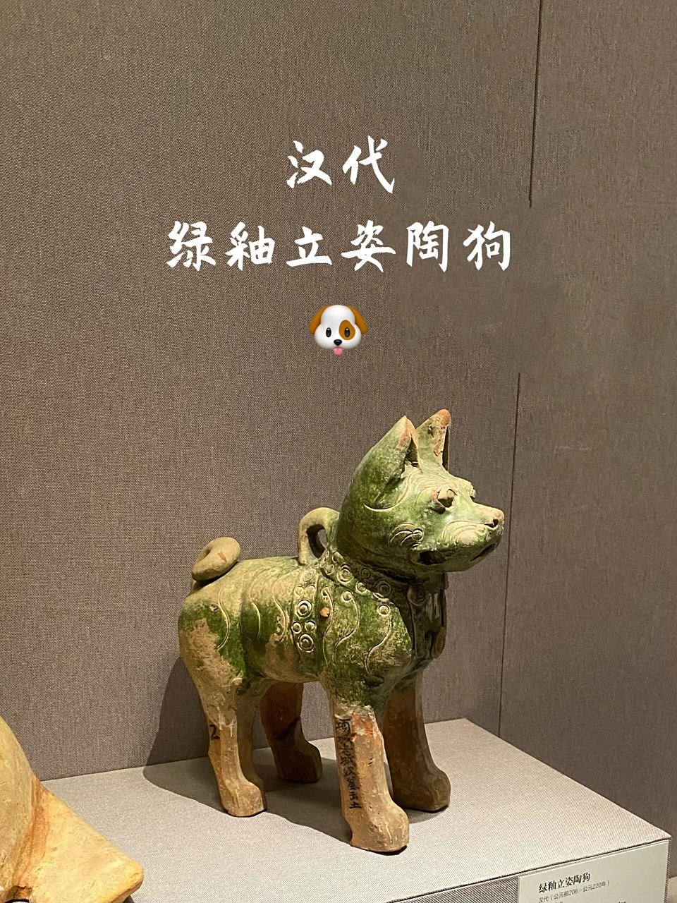 每日一文物9115绿釉立姿陶狗98 | 河南博 95名称:绿釉立姿陶