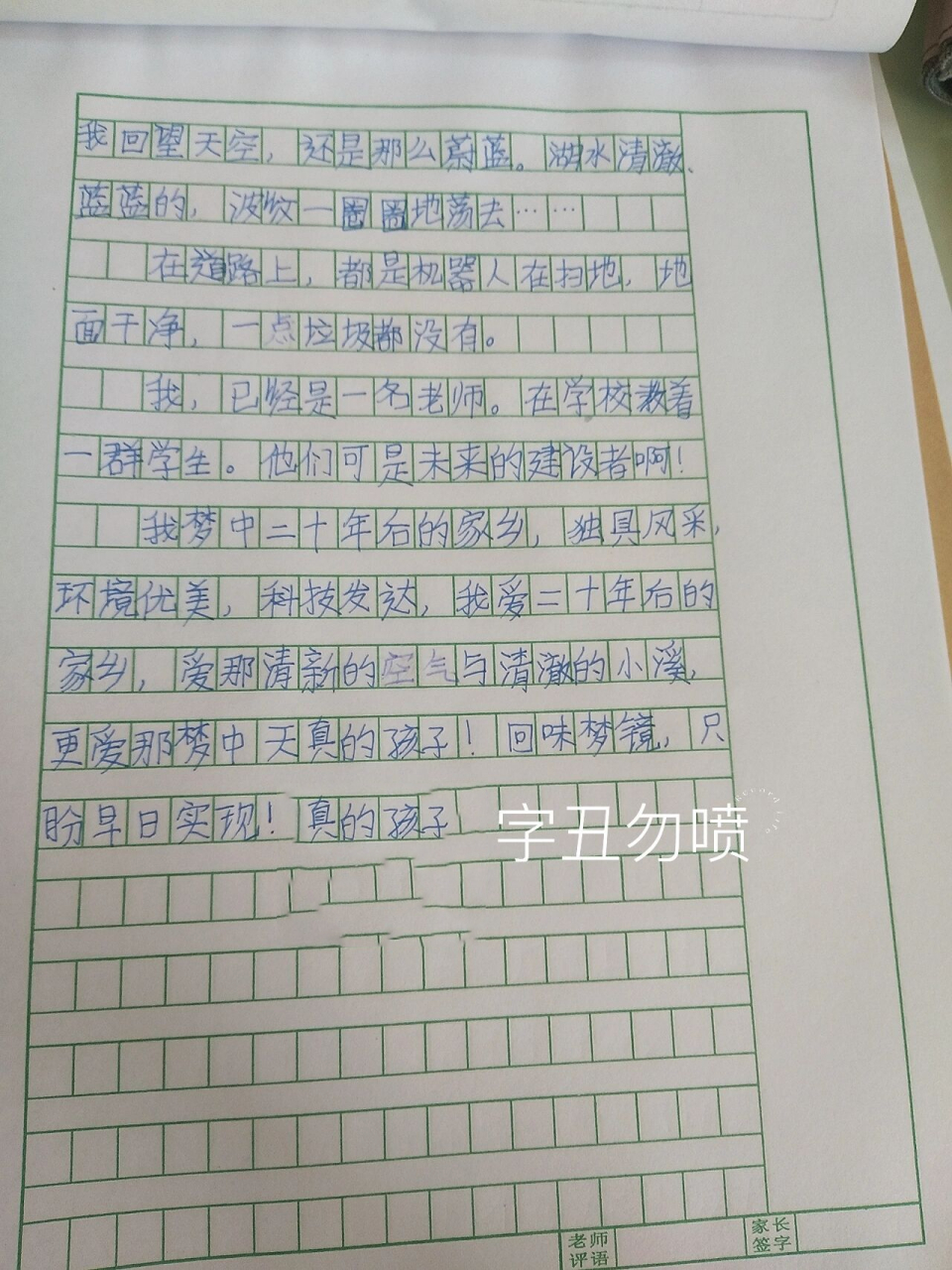 20个字的作文(写景作文400字可抄免费)