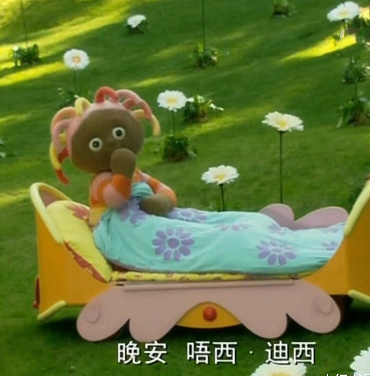 晚安 花园宝宝 晚安依古比古  晚安唔西迪西  晚安玛卡巴卡  晚安汤姆