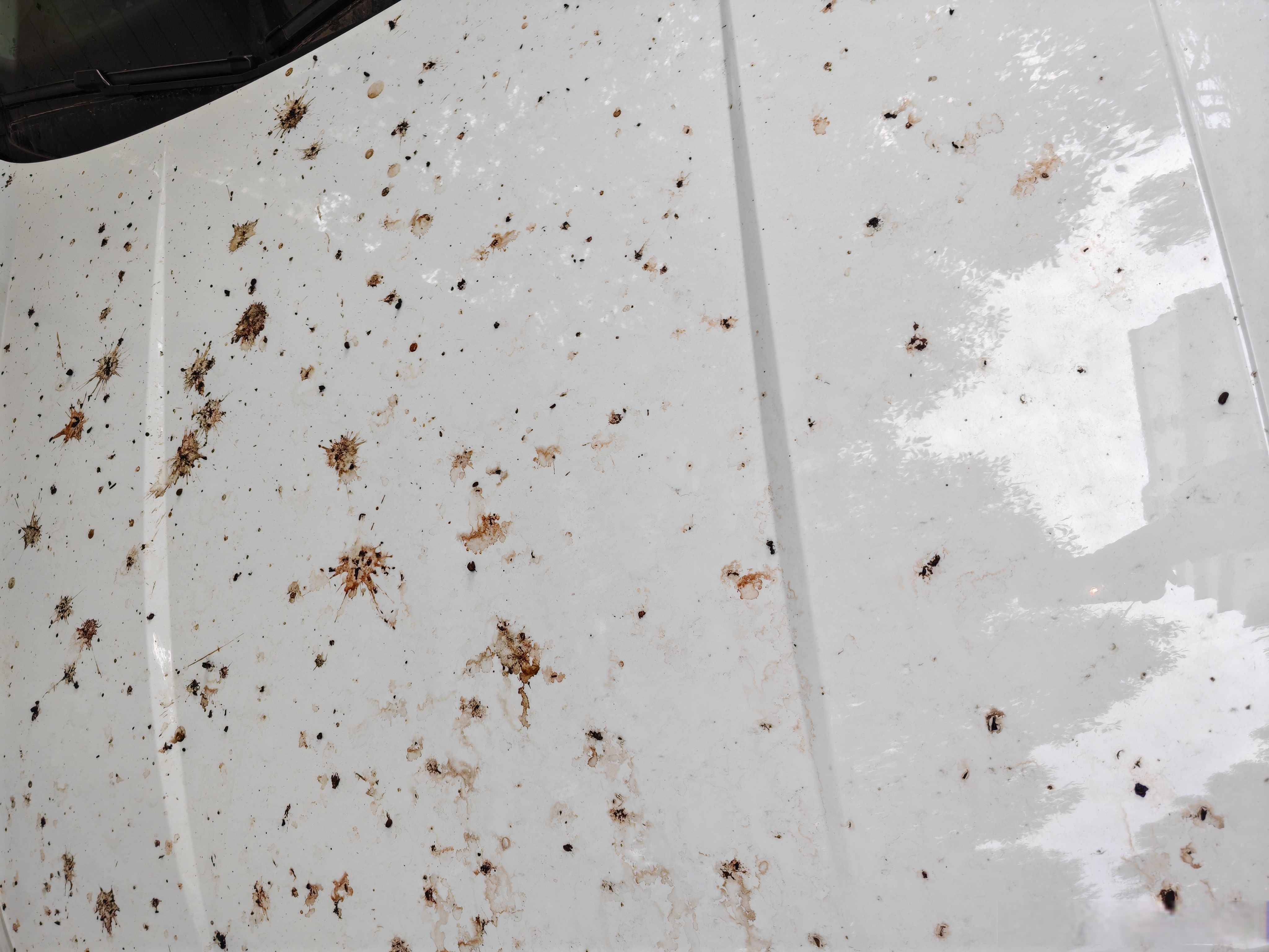 万能的微博和朋友圈# 我想问问