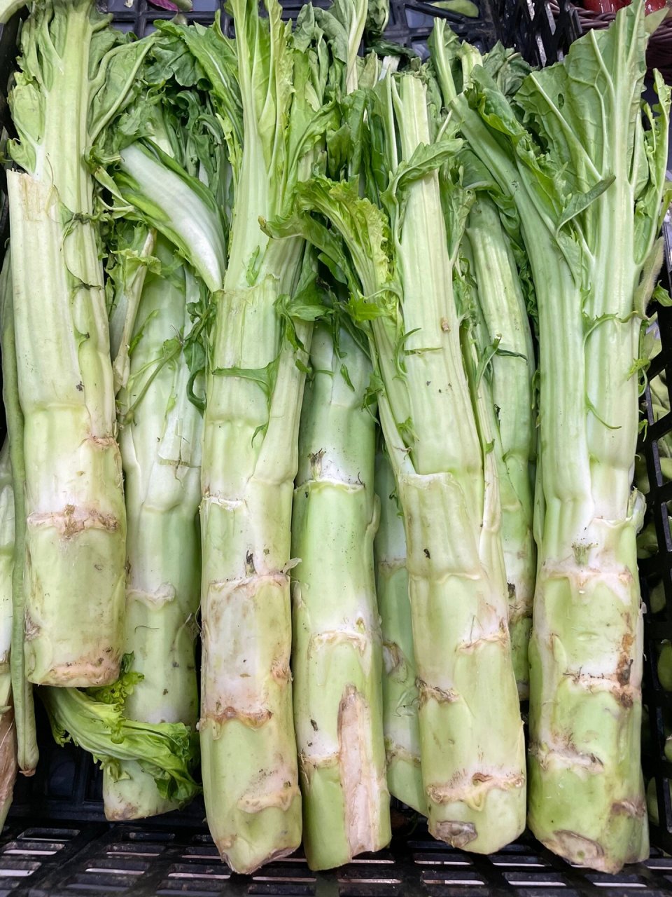 每个地区不一样也有很多种叫法 图31566左边棒菜,右边莴笋 区别