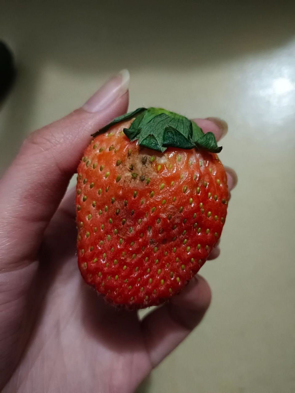 草莓这样是坏了吗,还能吃吗 买了一盒,有几个有这样的白斑