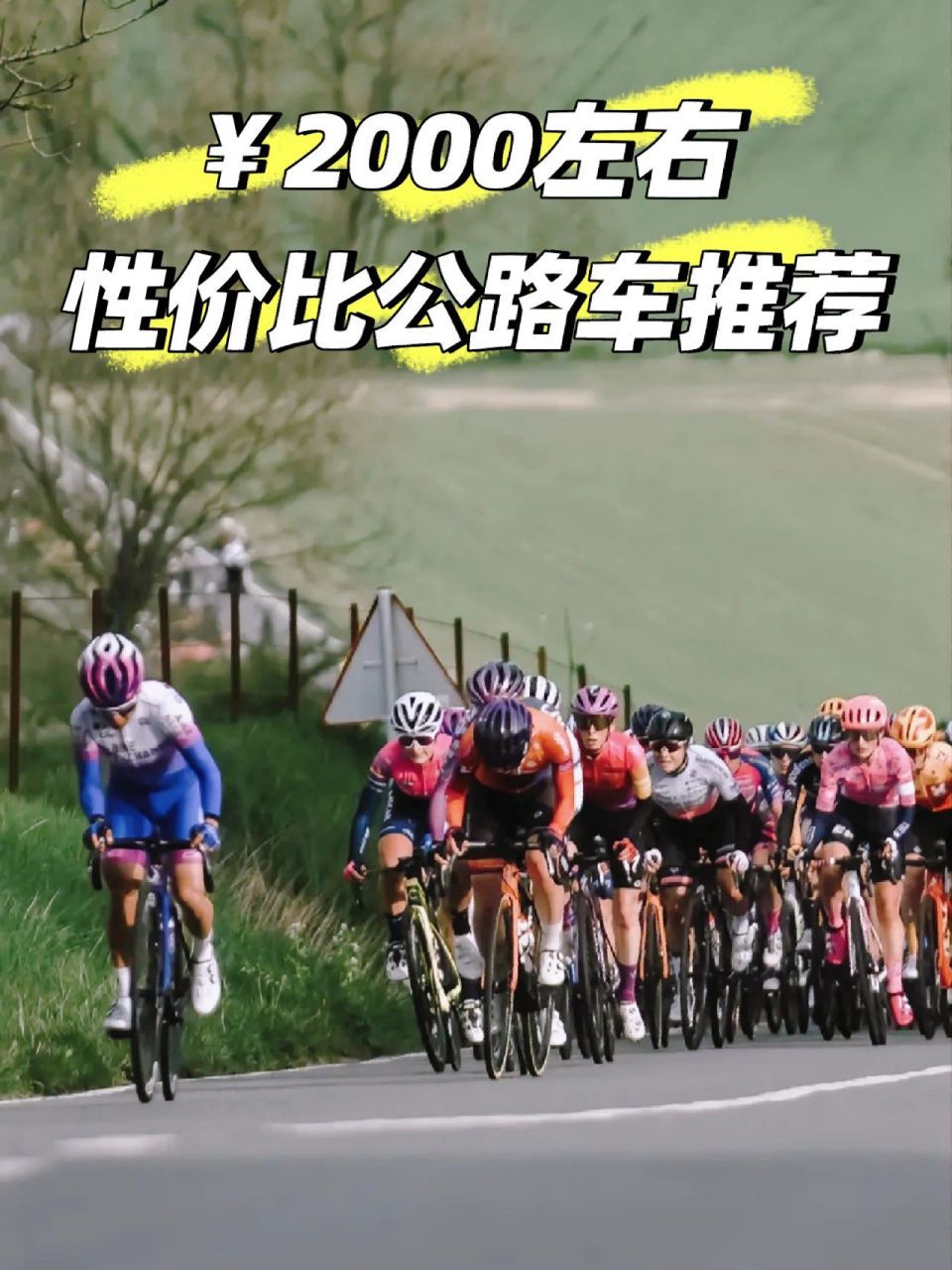 2000左右性价比入门公路车推荐 捷安特 speeder d2,推荐指数:3星