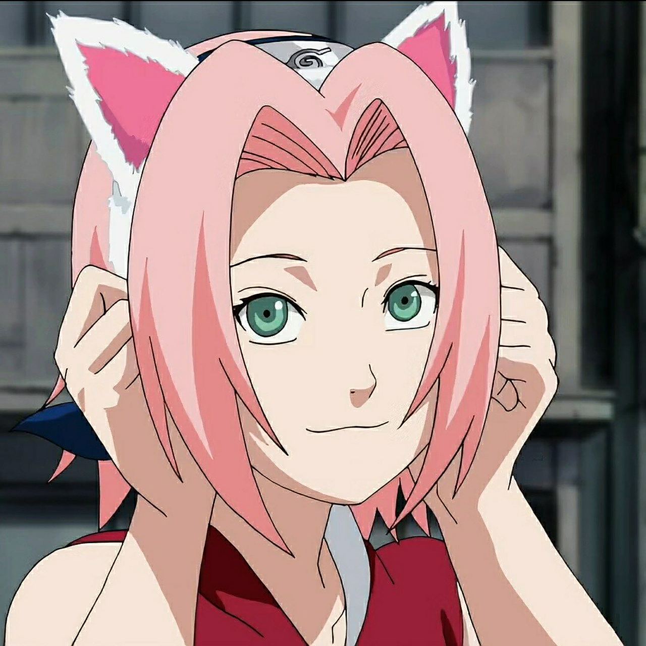 火影忍者 小樱头像 这样坚强又努力的女孩子真的i91