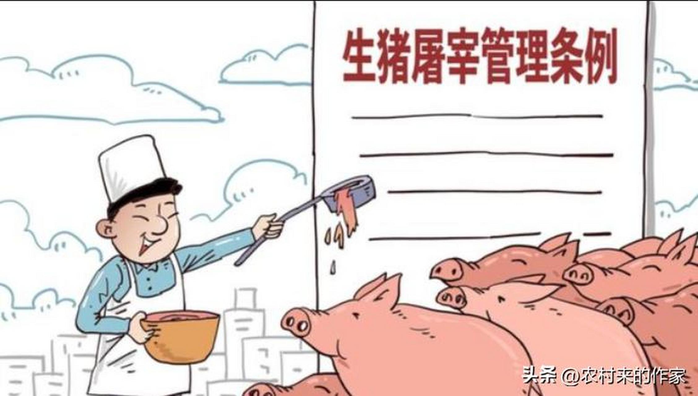 过去,在我们老家,很多人都会自己养