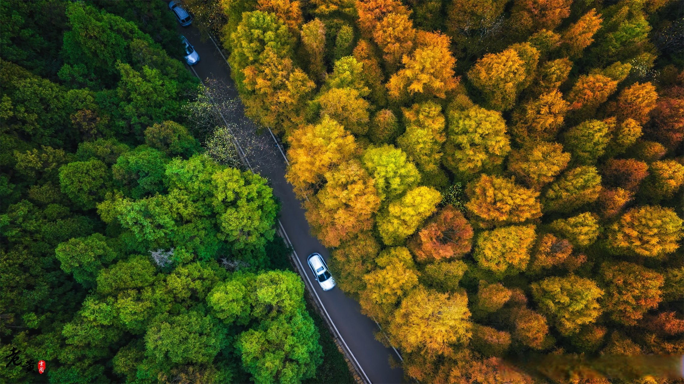 记录旅行# 位于重庆南川的山王坪景区,是一个充满自然魅力的地方.