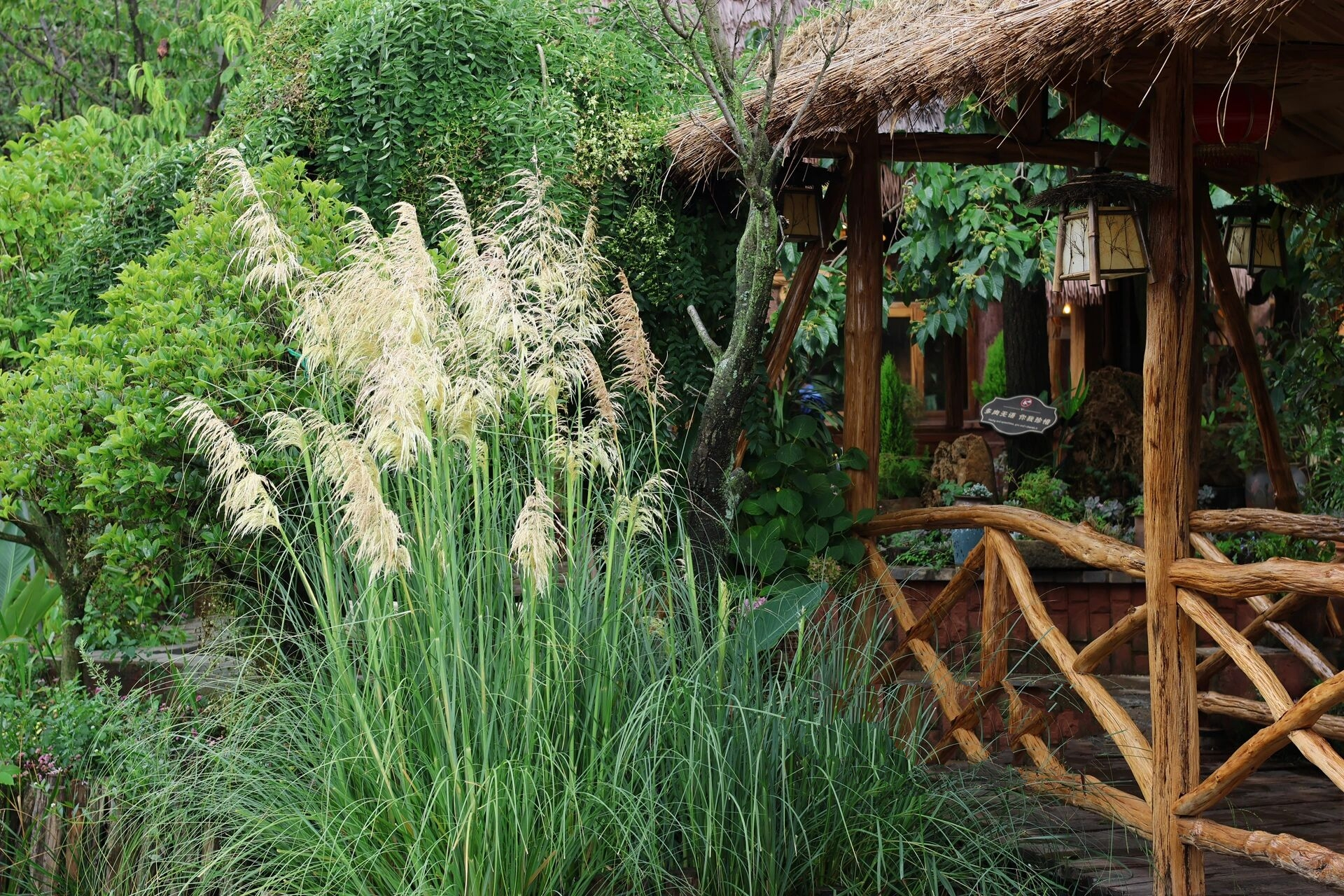 曲靖周边 真的很美的山庄7215 在麒麟水乡附近的燕子湖山庄 环境