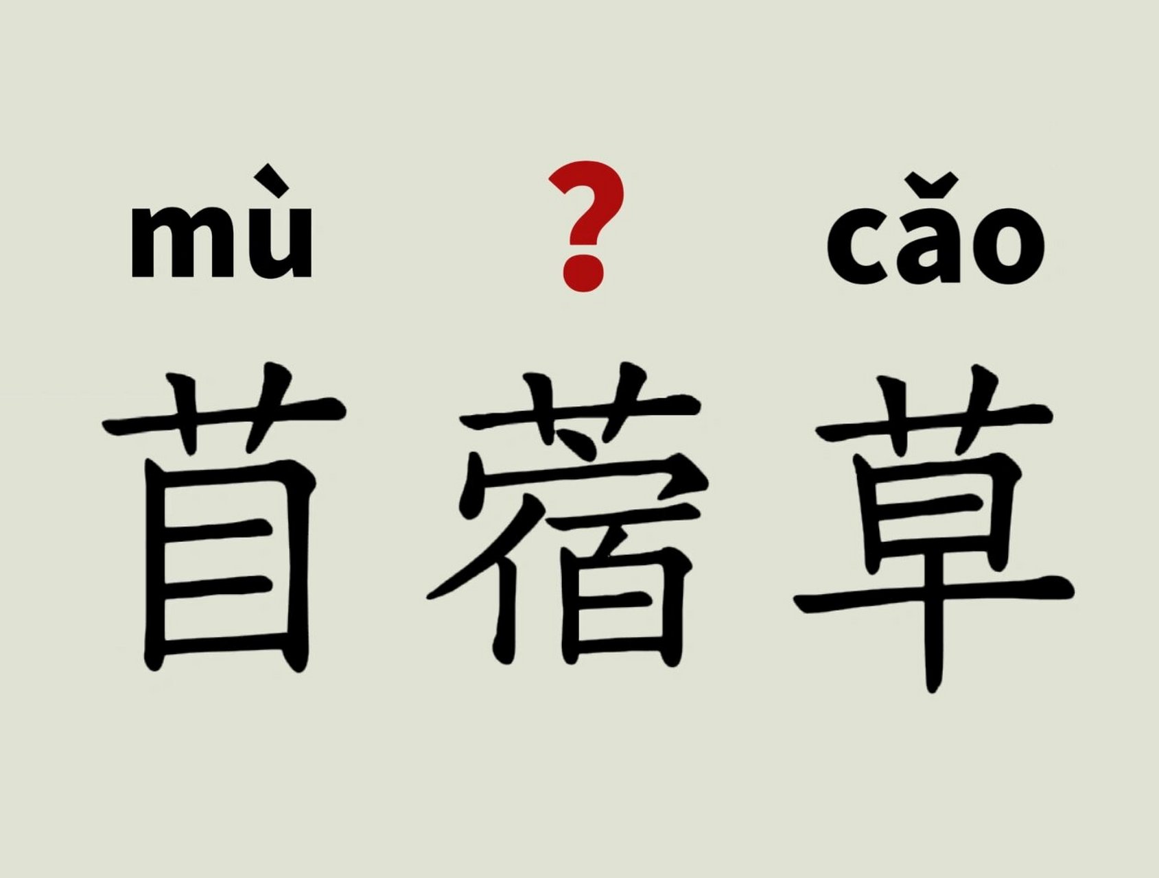 每天读对一个词485 苜蓿草的拼音  	 苜蓿  植物名.
