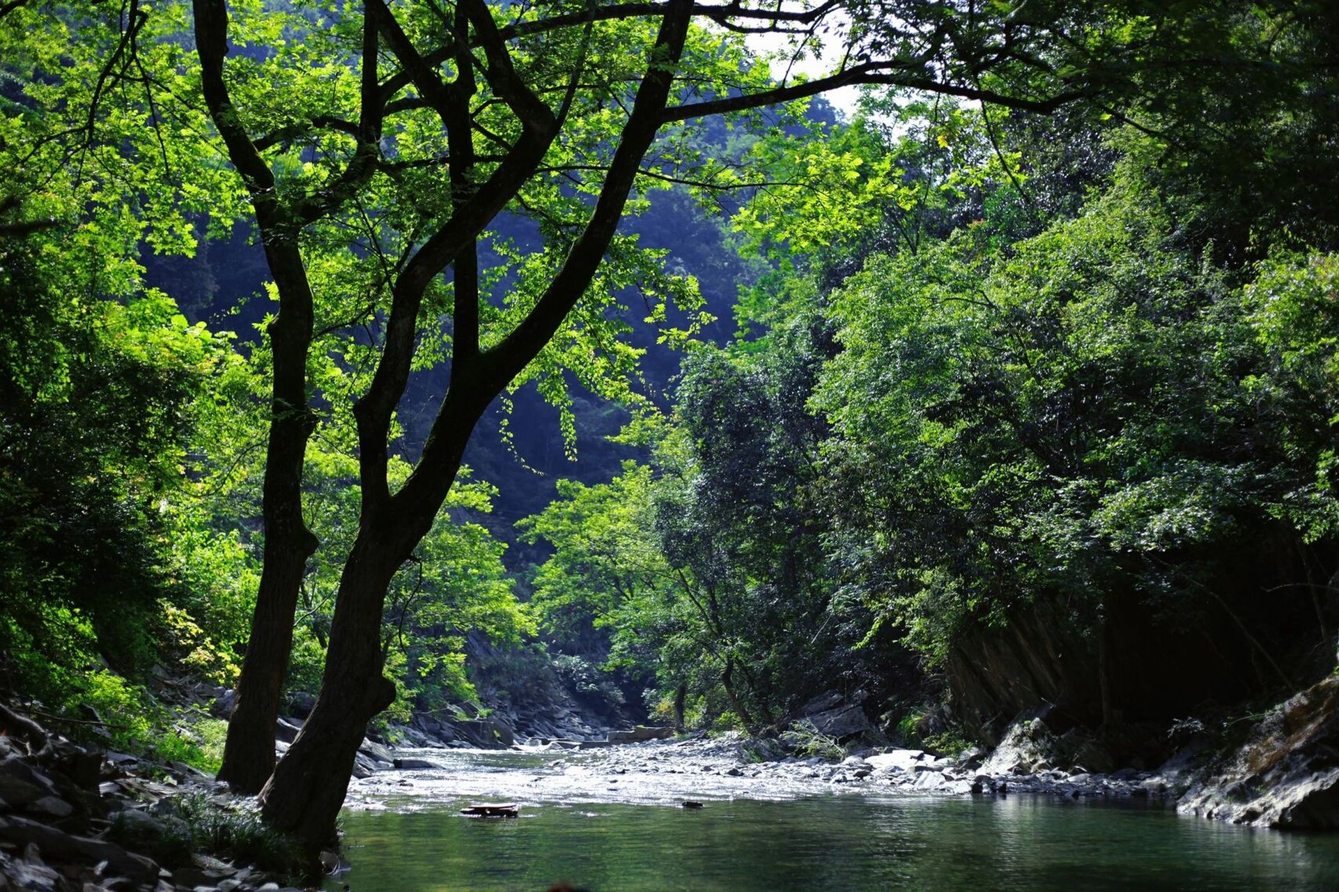 长沙周边露营好去处7215北罗霄国家森林公园 从长沙开车过来大概2