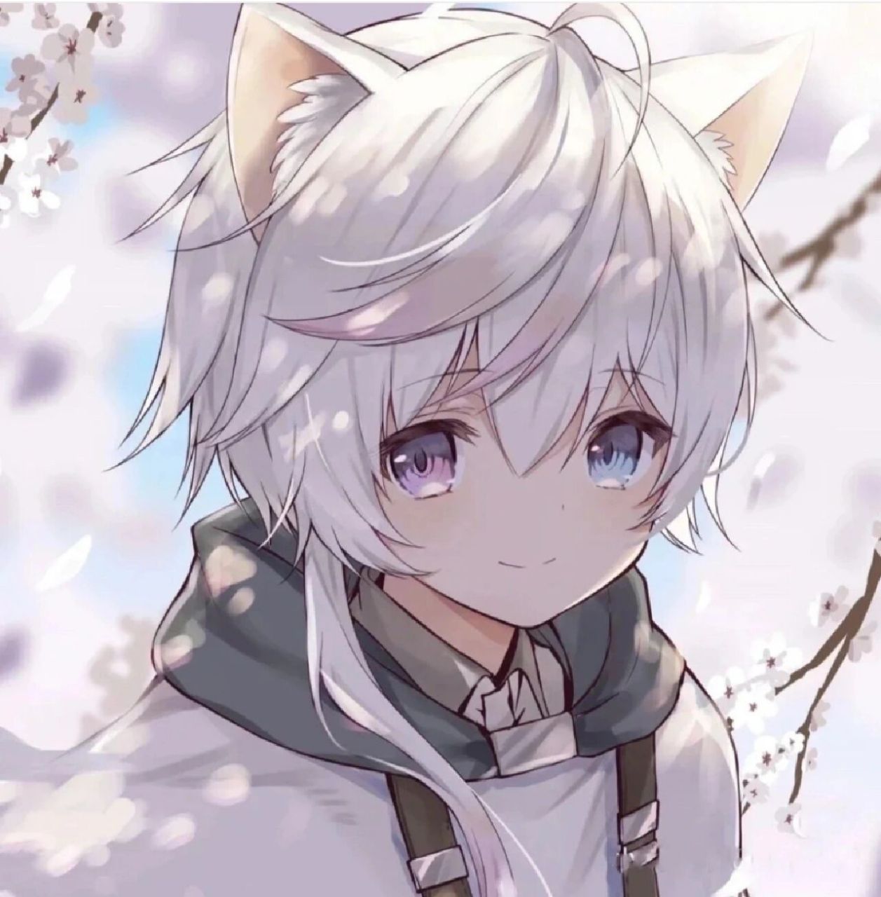 兽耳正太头像,清晰无水印 新人报道  大号