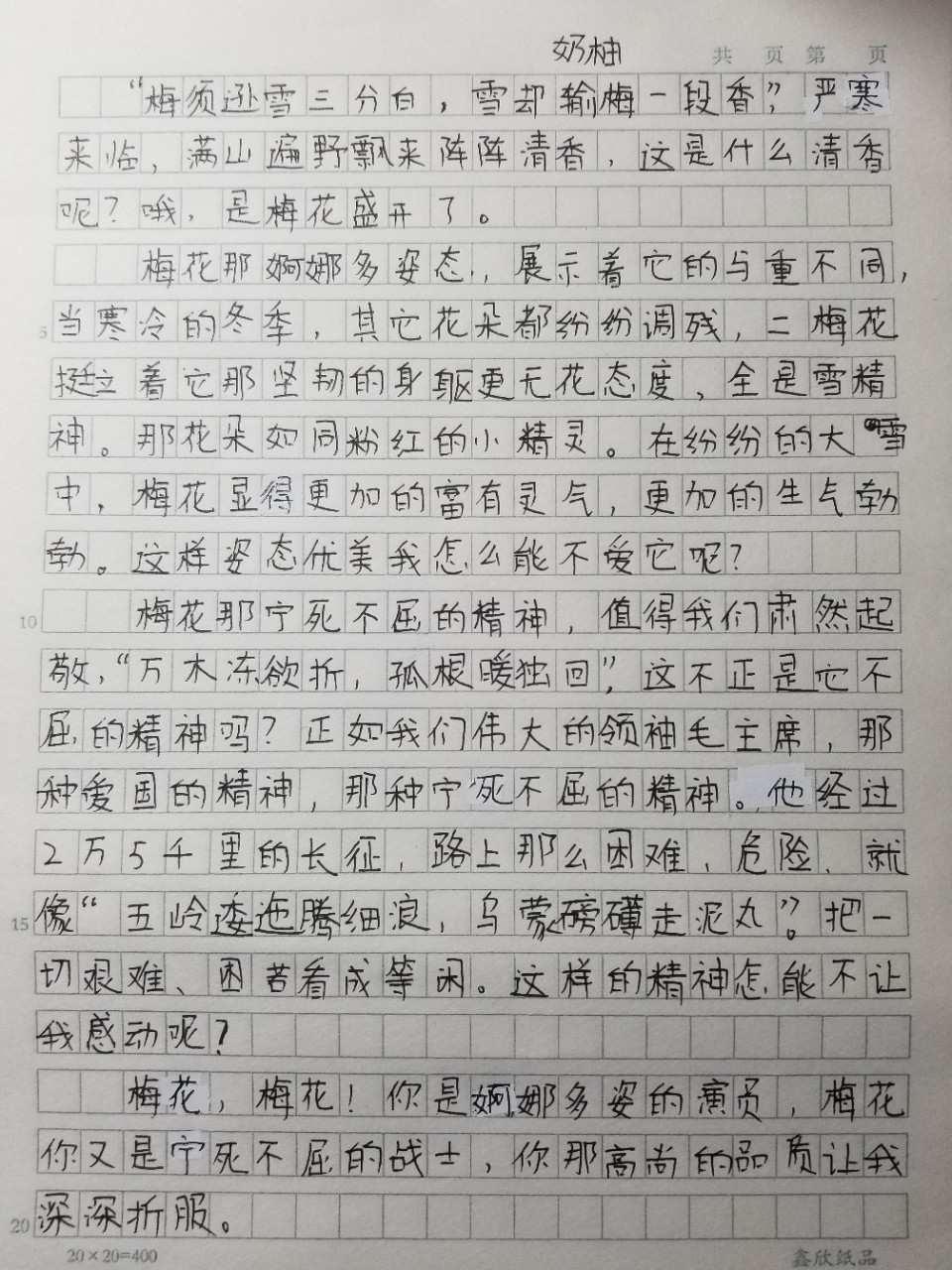 梅花的样子作文图片