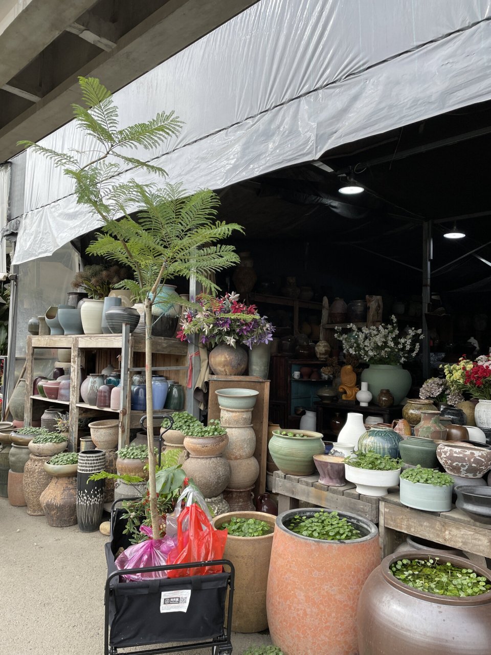 三圣乡万福花卉市场搬迁啦 在朋友圈看见说是要搬迁了,特地跟朋友去了