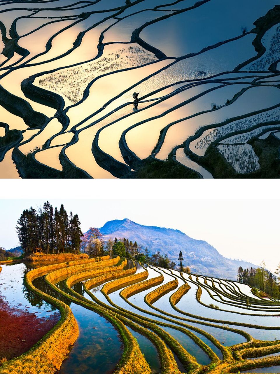 元阳梯田,正式放水的时候,摄影最美的时候 05【包括景区】1:坝达