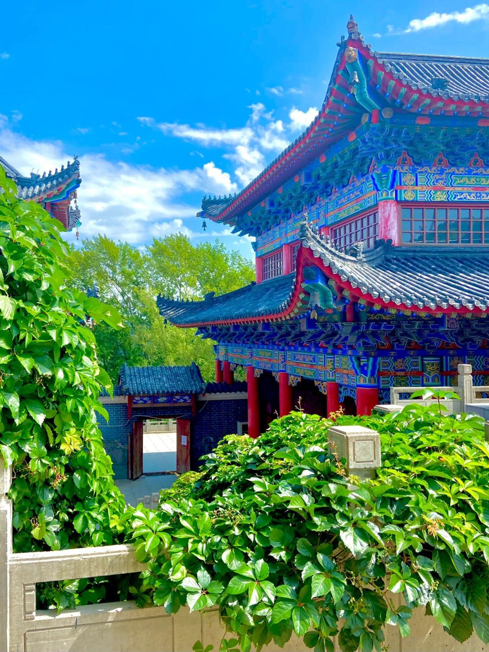 佳木斯妙觉寺 95我举高香敬神明,抵我心中意难平 95所念皆所愿,所