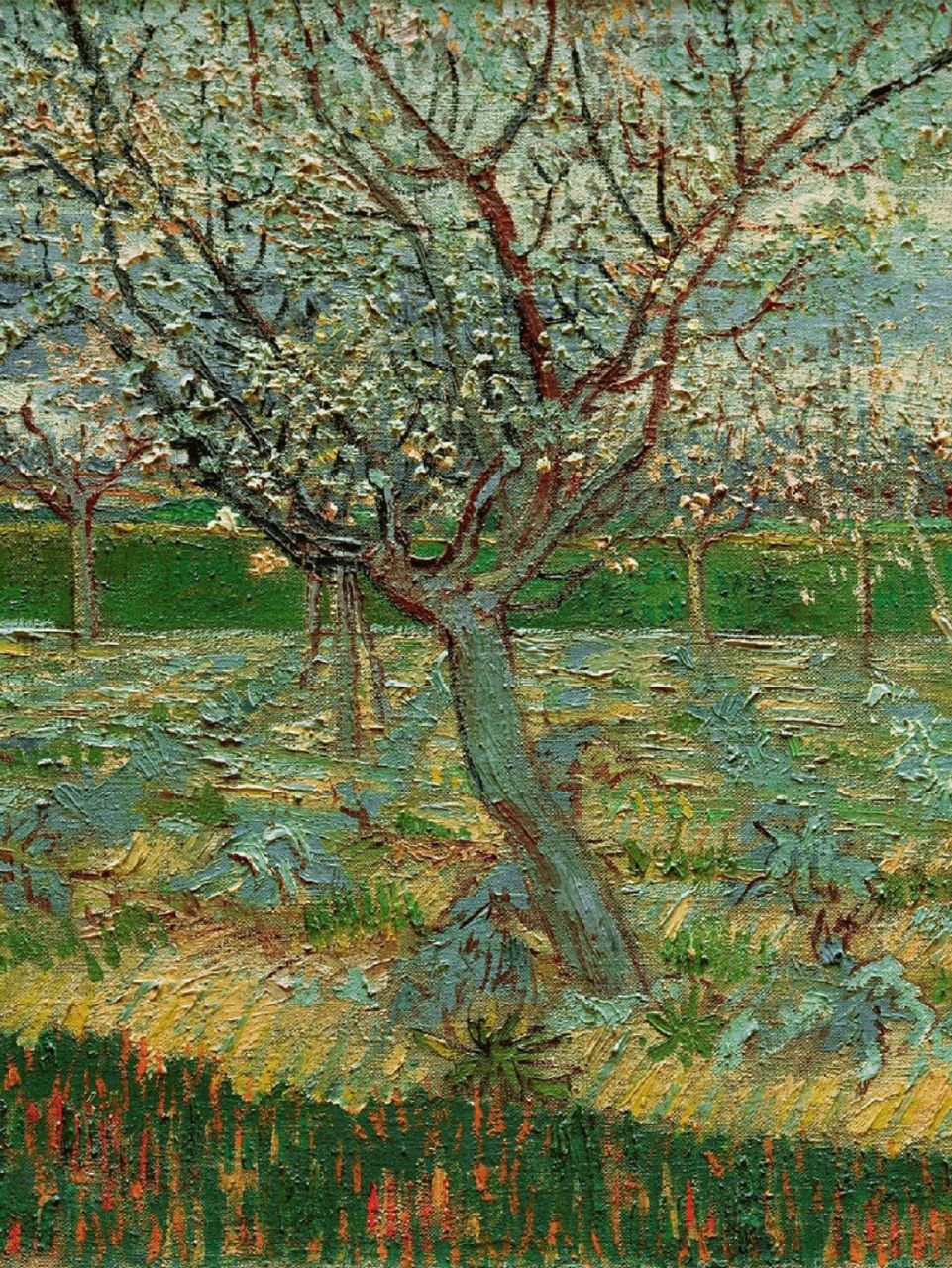 98名       字:《盛开的杏花树》 94作       者:文森特·梵高