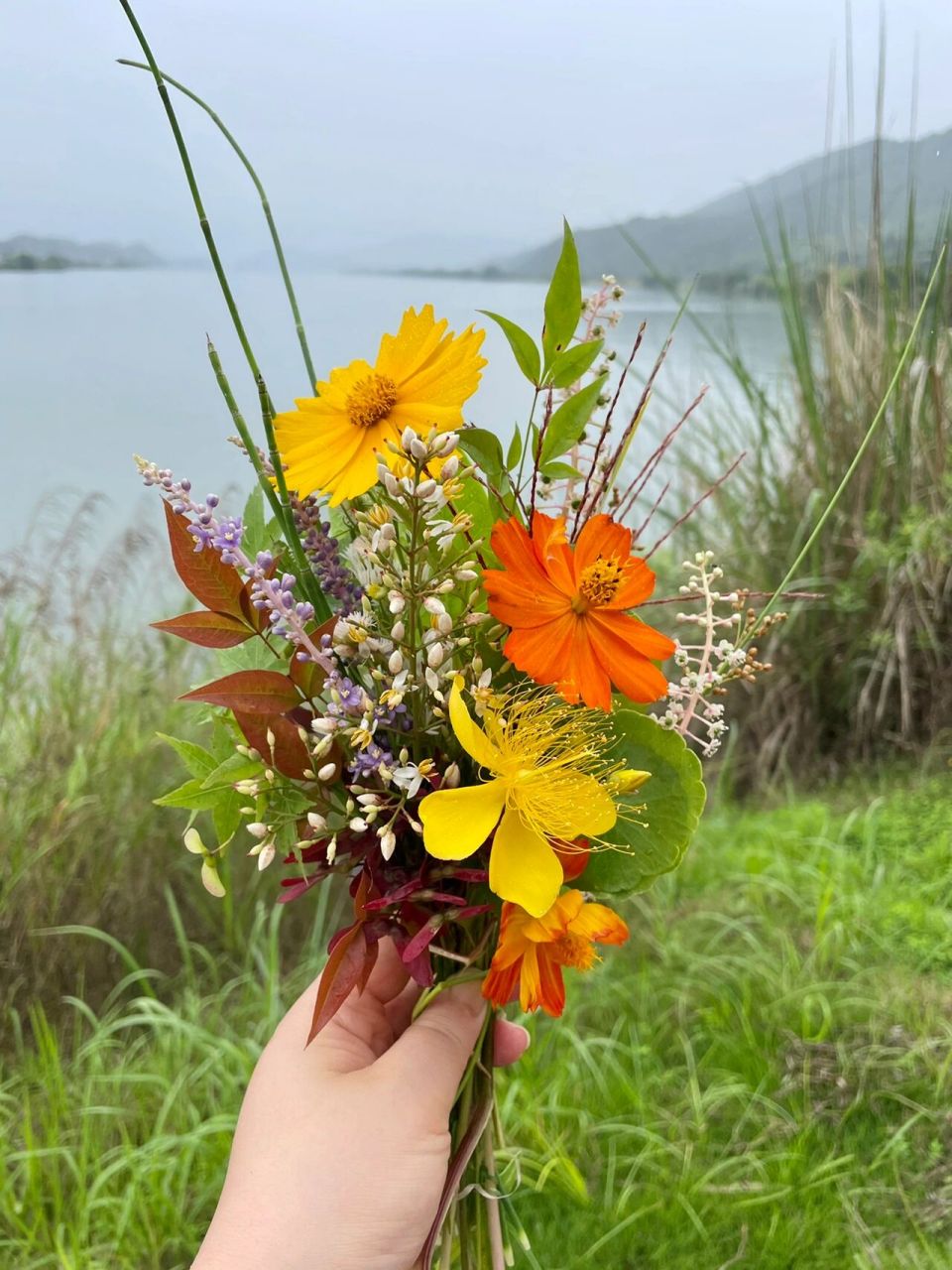 田间地头触手可得的野花野草做一束漂亮花束