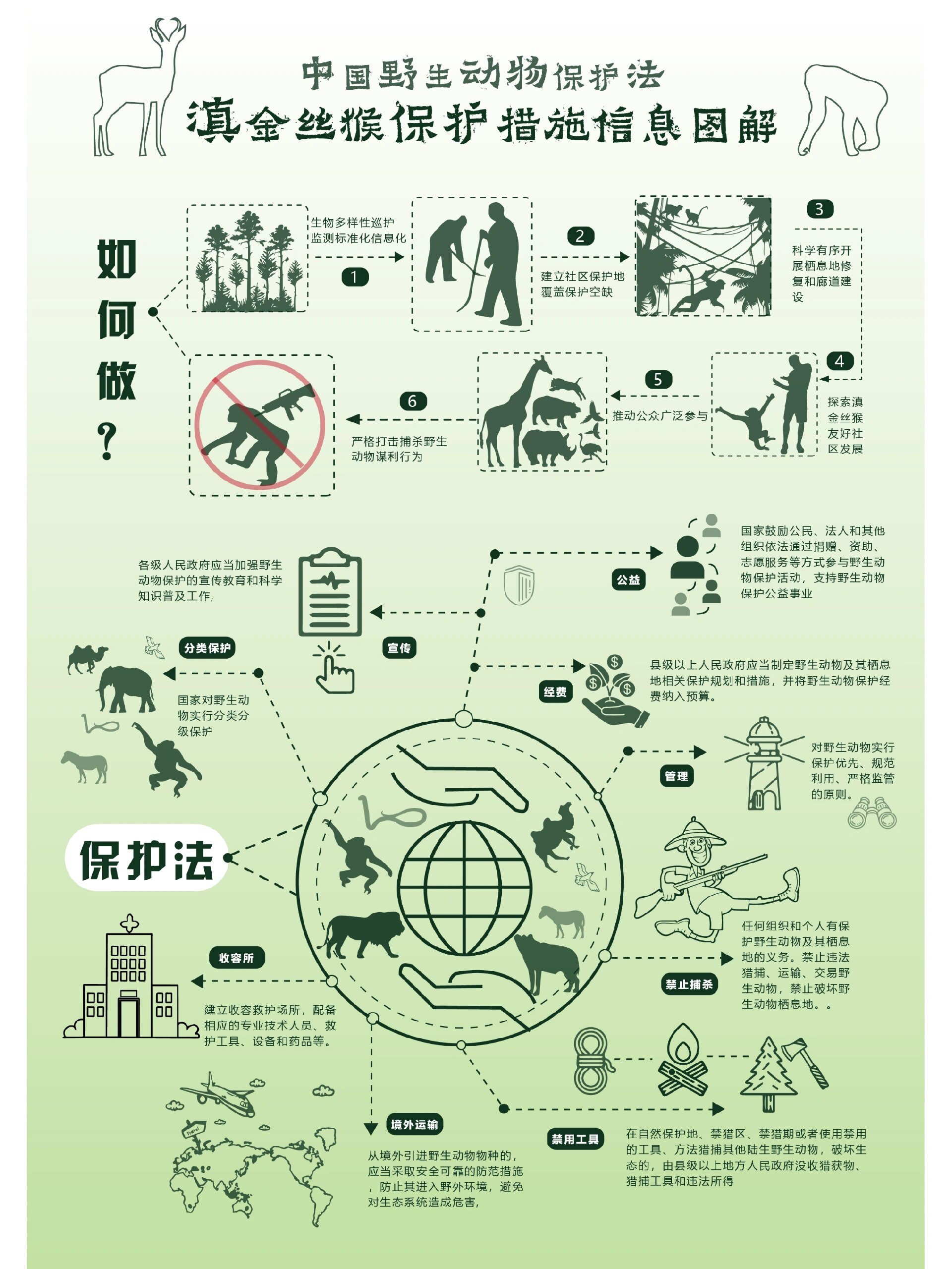 云南野生动物滇金丝猴信息可视化