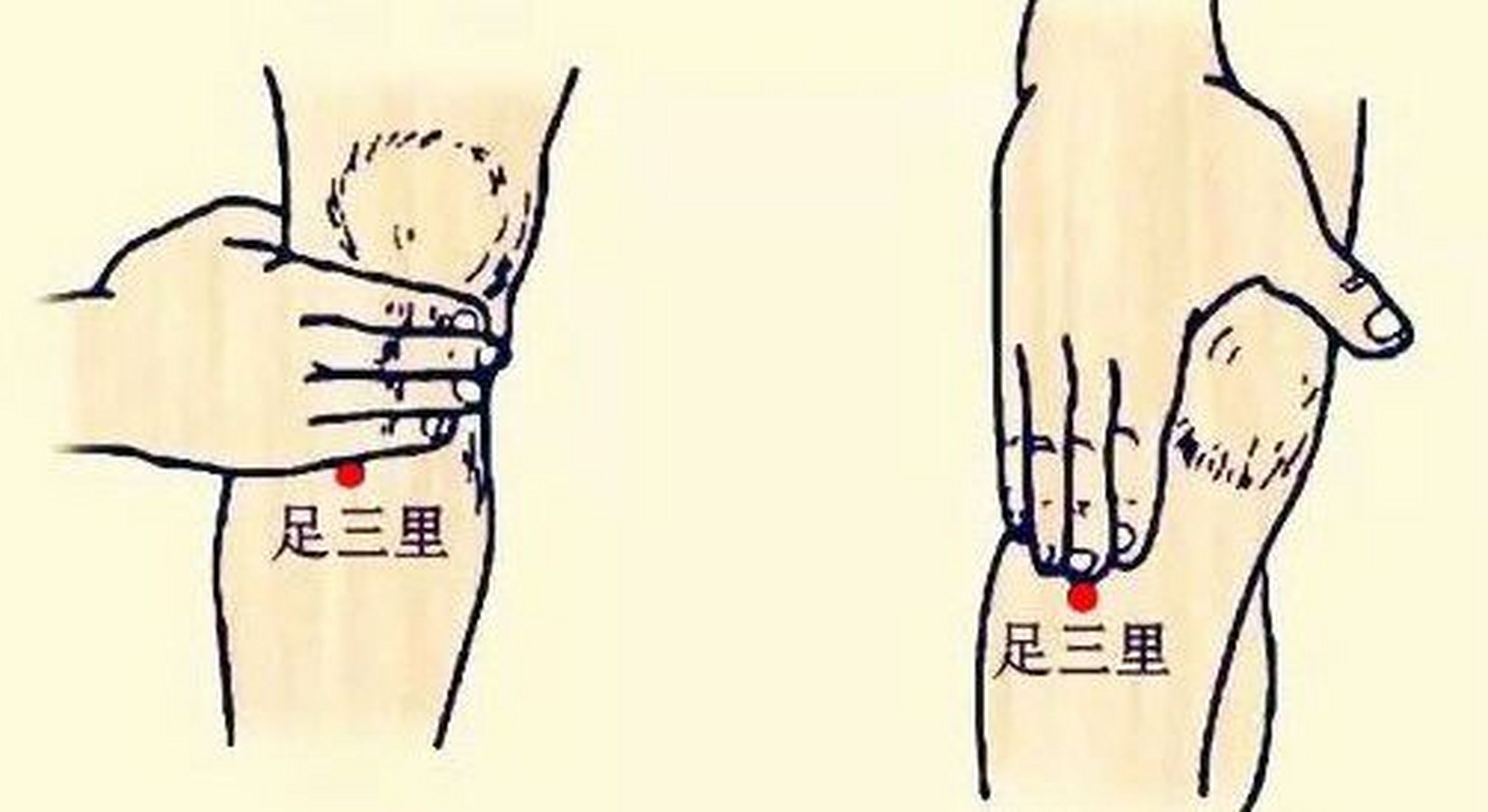 艾灸5年受益者,足三里你一定要灸 艾灸坚持了有5年了,我灸的最多的