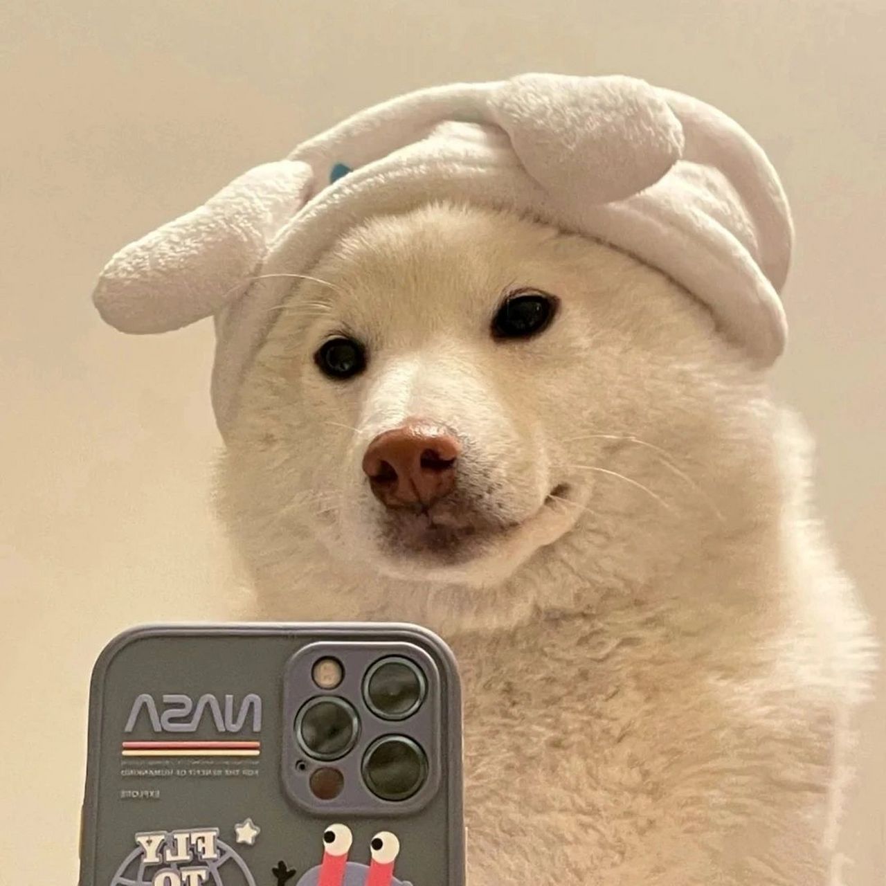 帅哥都爱用什么样的头像啊 想问各位大佬一个困扰我许久的问题,帅哥都