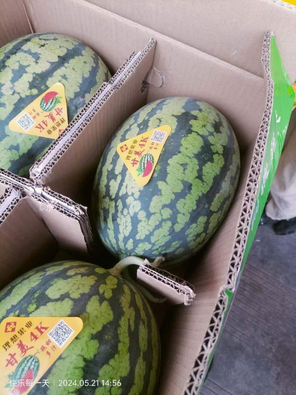甘美西瓜🍉4k  惊爆价:1⃣️0⃣️ 元 3⃣️ 斤  🍉