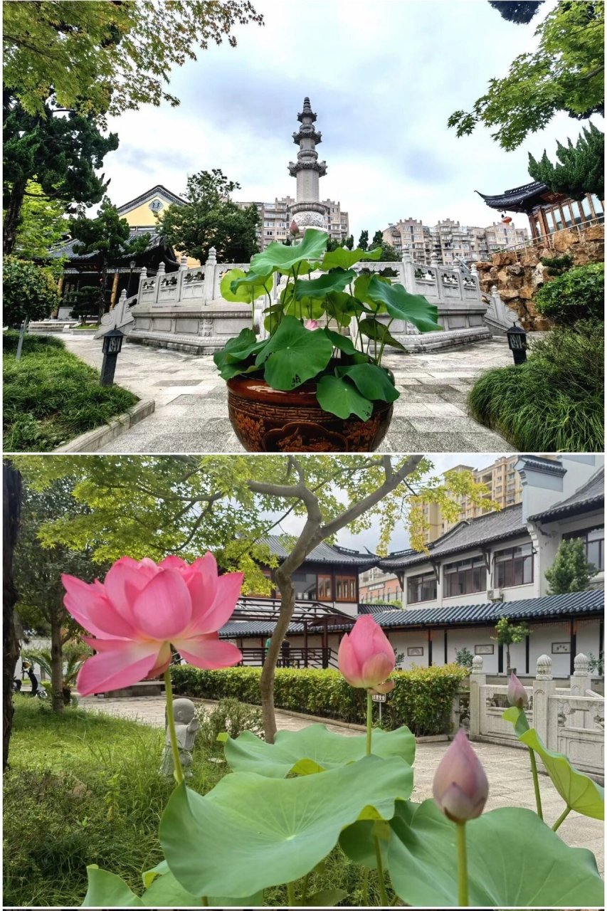 78在江苏南通福田寺为李玟供奉永久莲位 95在江苏省南通市福田寺