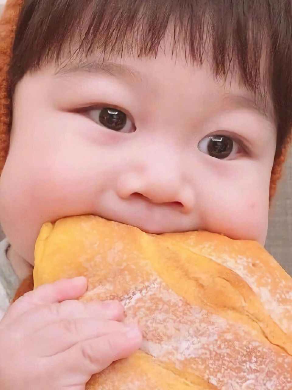 萌娃宝宝壁纸 | 私藏级7515可爱到晕 真的是爱惨了!