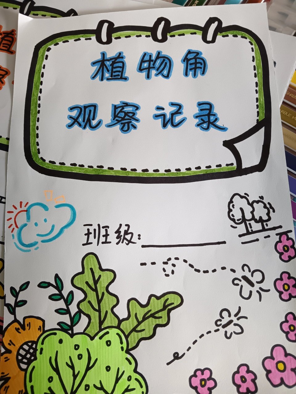 植物角观察记录封面 手绘