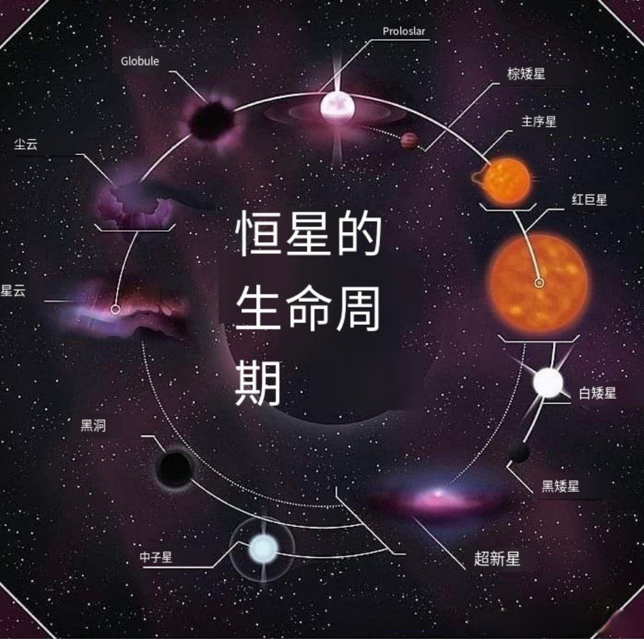 恒星的生命周期#宇宙